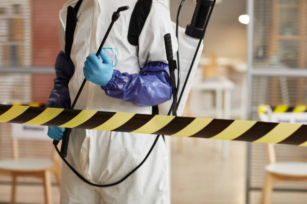 Professional Odor Removal technician working in De Soto, IL
