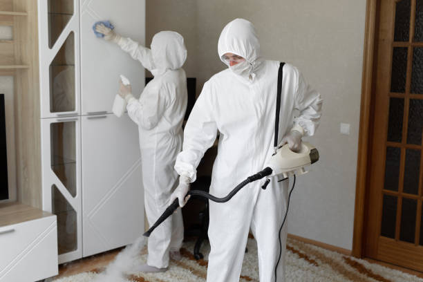 24/7 Emergency Odor Removal experts in De Soto, IL