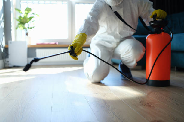 Reliable Odor Removal contractor in De Soto, IL by Trauma Clean Pros